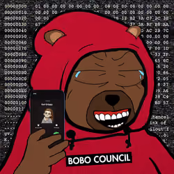 Bobo Council #428