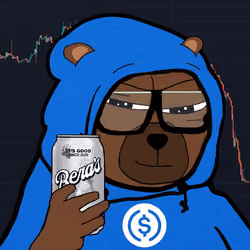 Bobo Council #541