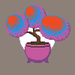 BONZAI #51