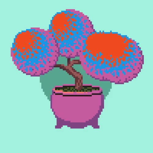 BONZAI #146