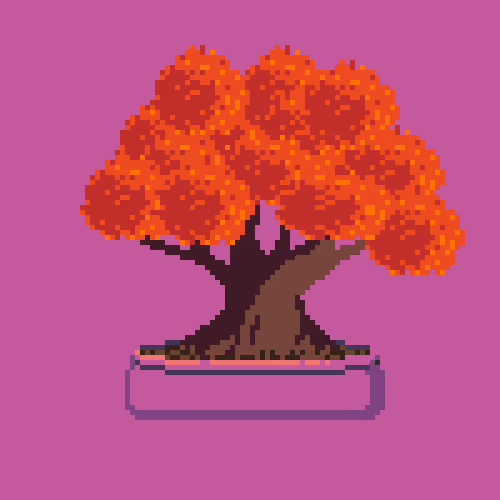 BONZAI #211