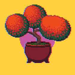 BONZAI #148