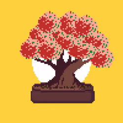 BONZAI #222