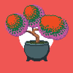 BONZAI #147