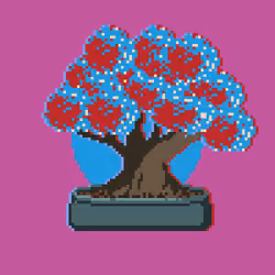 BONZAI #207