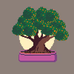 BONZAI #192