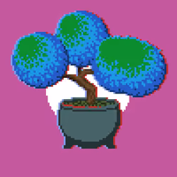 BONZAI #50