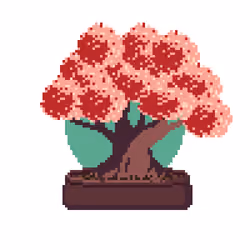 BONZAI #204