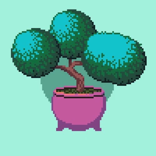 BONZAI #15