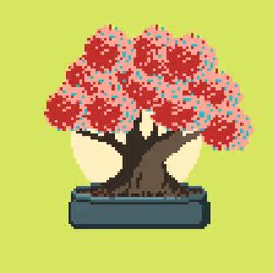 BONZAI #208