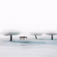 Fog and Loneliness