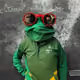 1116