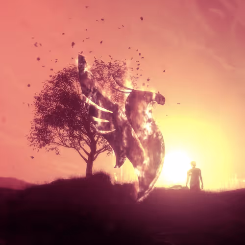 Item #20300040008 Media