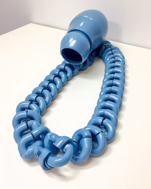 Item #555 Media