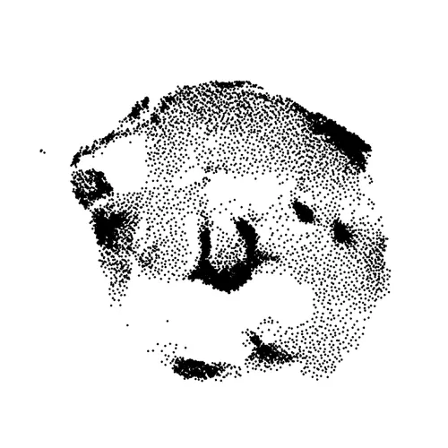 Hoxgen