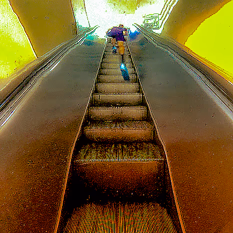 Randoms By Cydr