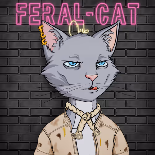Feral Cat Club