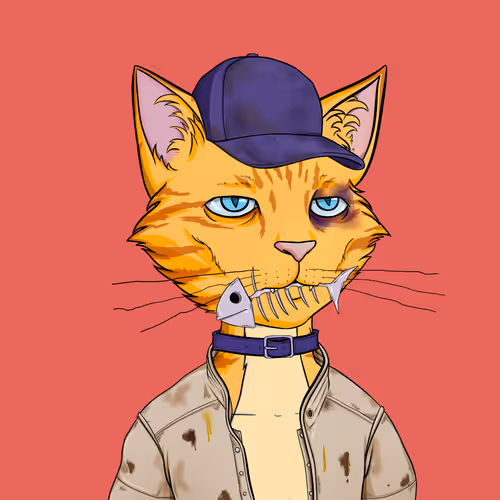 Feral Cat Club