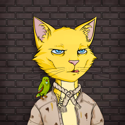 Feral Cat Club