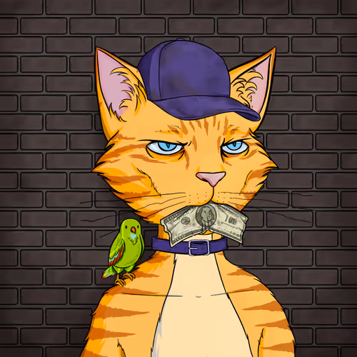 Feral Cat Club