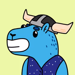Mushybara #750