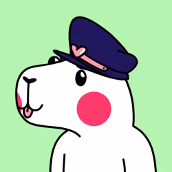 Mushybara #491