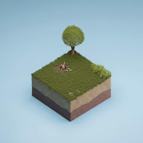 Rabbit Hole