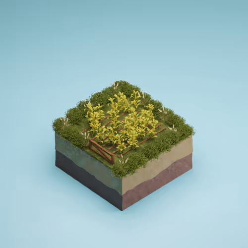 Wheat Field 1