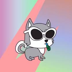 504