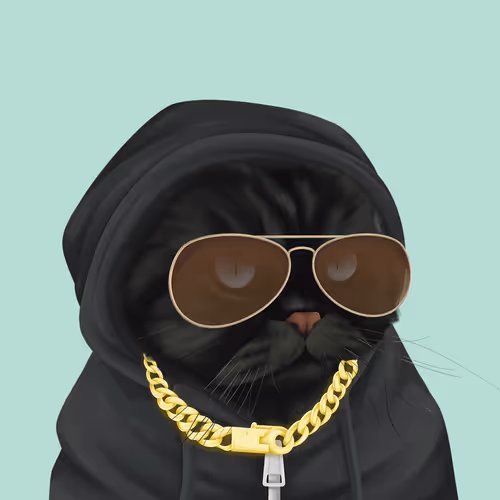 Thefatcatplanet