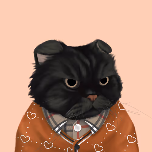Thefatcatplanet