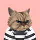FatCatPlanet #1841