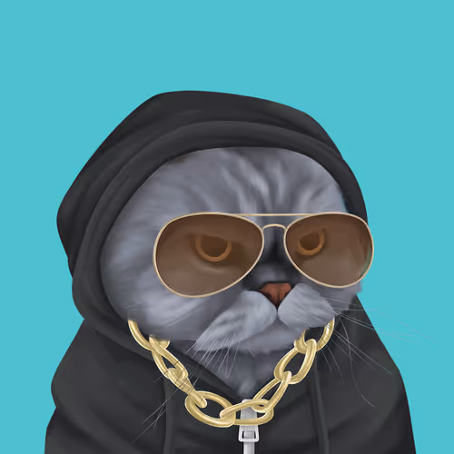 Thefatcatplanet