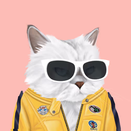 Thefatcatplanet