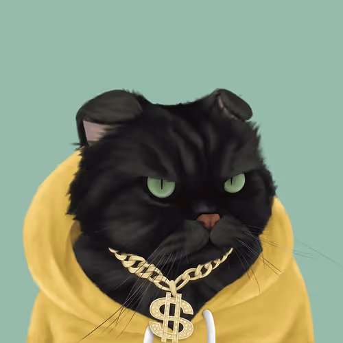 Thefatcatplanet