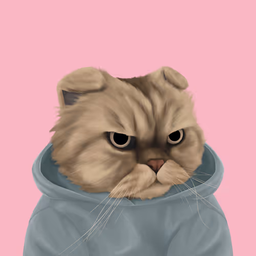Thefatcatplanet