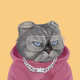 FatCatPlanet #1914