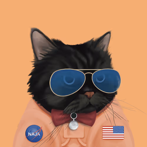 Thefatcatplanet
