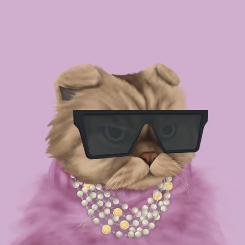 Thefatcatplanet