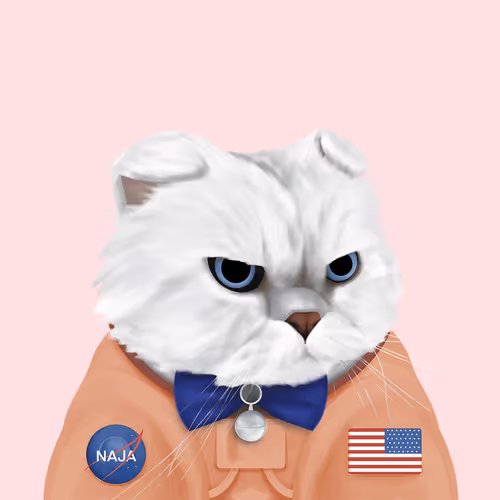 Thefatcatplanet