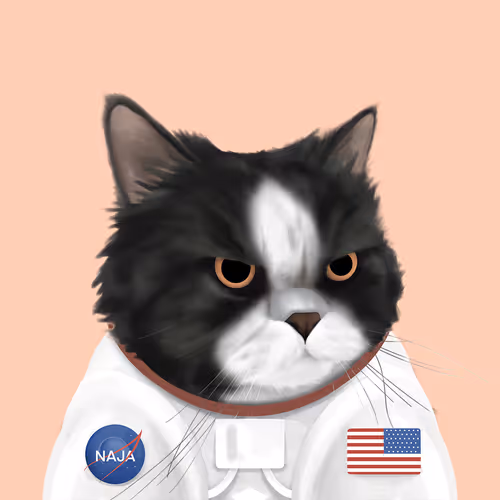 Thefatcatplanet