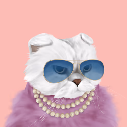 Thefatcatplanet