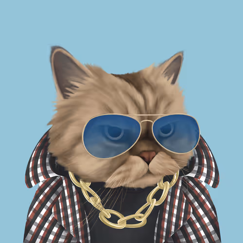 Thefatcatplanet