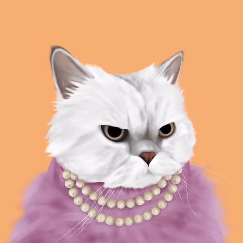 Thefatcatplanet