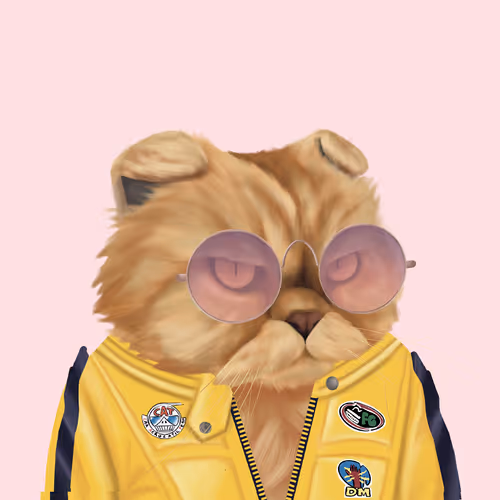 Thefatcatplanet