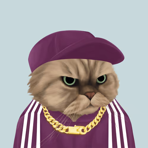 Thefatcatplanet