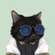 FatCatPlanet #627