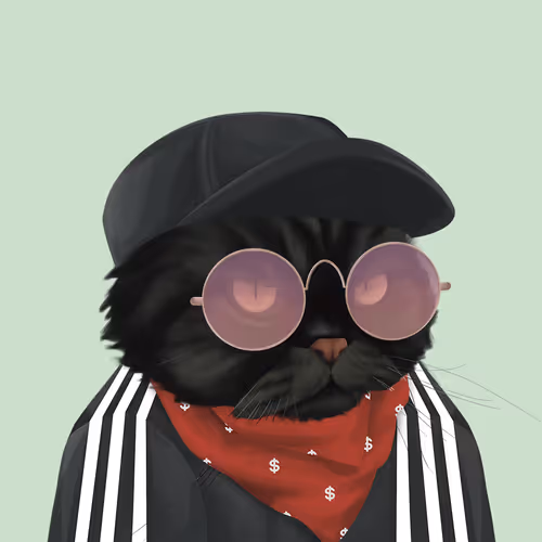 Thefatcatplanet