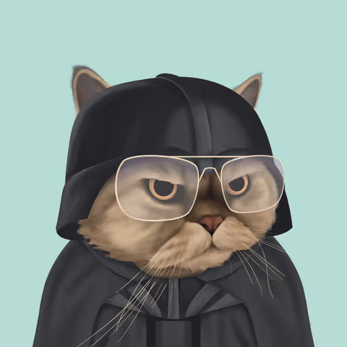 Thefatcatplanet