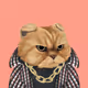FatCatPlanet #1903